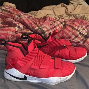 Customized Lebron Nike zooms size 11